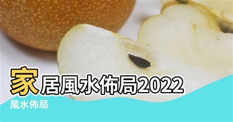 病位化解|家居風水佈局2022｜蘇民峰病位化解方法、文昌＋催 